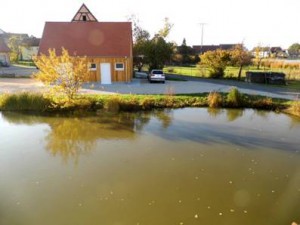 Bild5